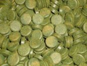 Sera Spirulina Tabs (Sera спирулина табс) 24 таб. -  растительные таблетки со спирулиной, для растительноядных рыб,  могут прилепляться к стеклу (s-0920)